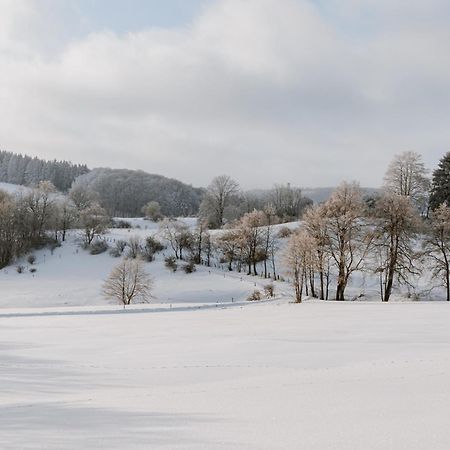 Jagdhaus In Der Rhoen In Voelliger Alleinlage Gersfeld Kültér fotó