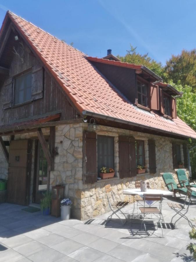Jagdhaus In Der Rhoen In Voelliger Alleinlage Gersfeld Kültér fotó