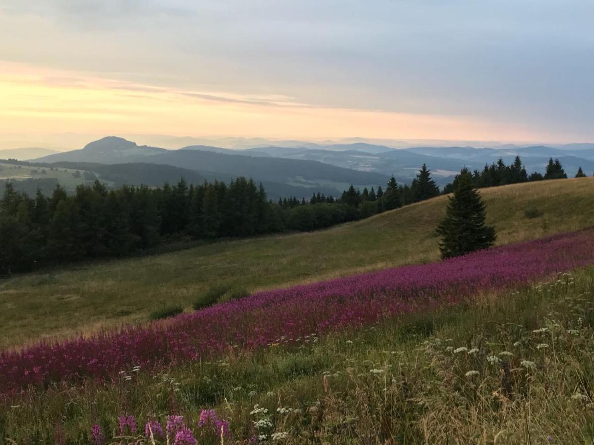 Jagdhaus In Der Rhoen In Voelliger Alleinlage Gersfeld Kültér fotó