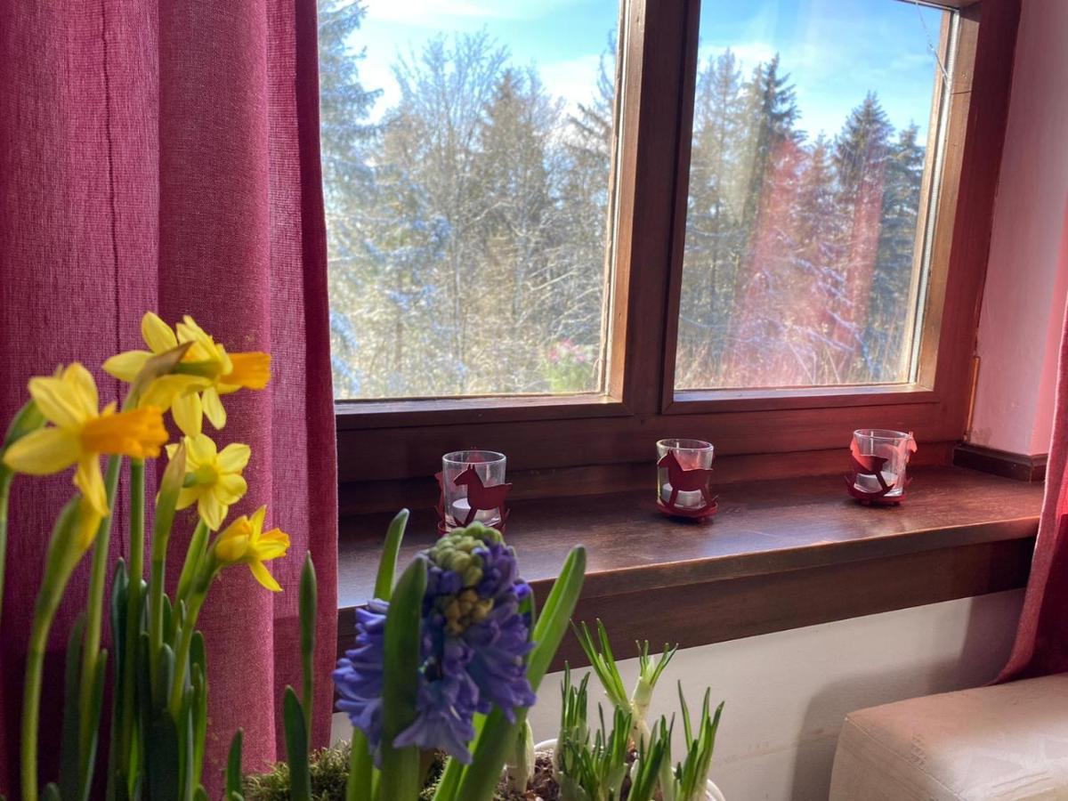 Jagdhaus In Der Rhoen In Voelliger Alleinlage Gersfeld Kültér fotó